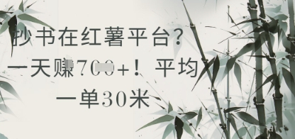 抄书在小红薯平台？平均一单30米，一天收益几张！-星火轻创
