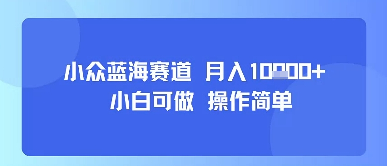 小众蓝海赛道，小白可做，操作简单，每天30分钟，月入1W+-星火轻创