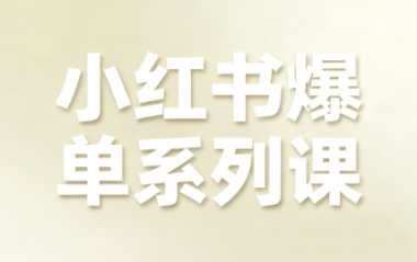尼采老师·小红书爆单系列课-星火轻创