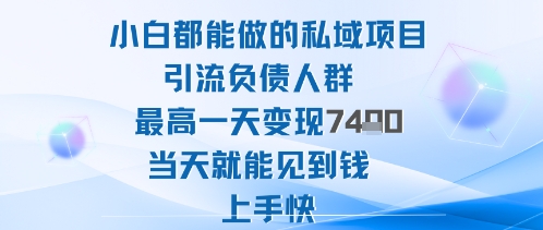 2025年小白都能做的私域项目引流负债人群最高一天变现1k+高变现难度低当天就能见到钱上手快-星火轻创