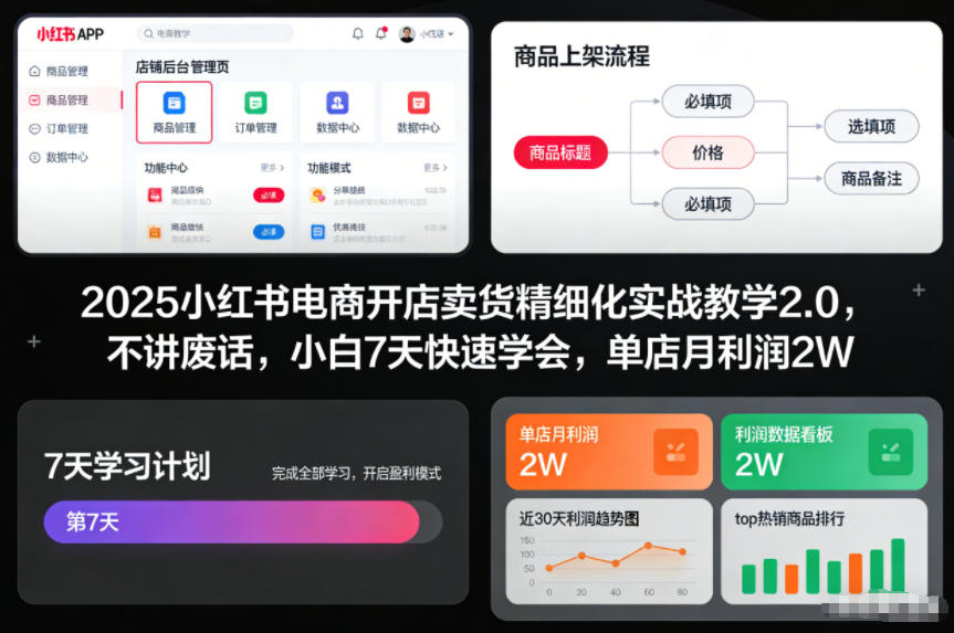 2025小红书电商开店卖货精细化实战教学2.0，不讲废话，小白7天快速学会，单店月利润2W-星火轻创