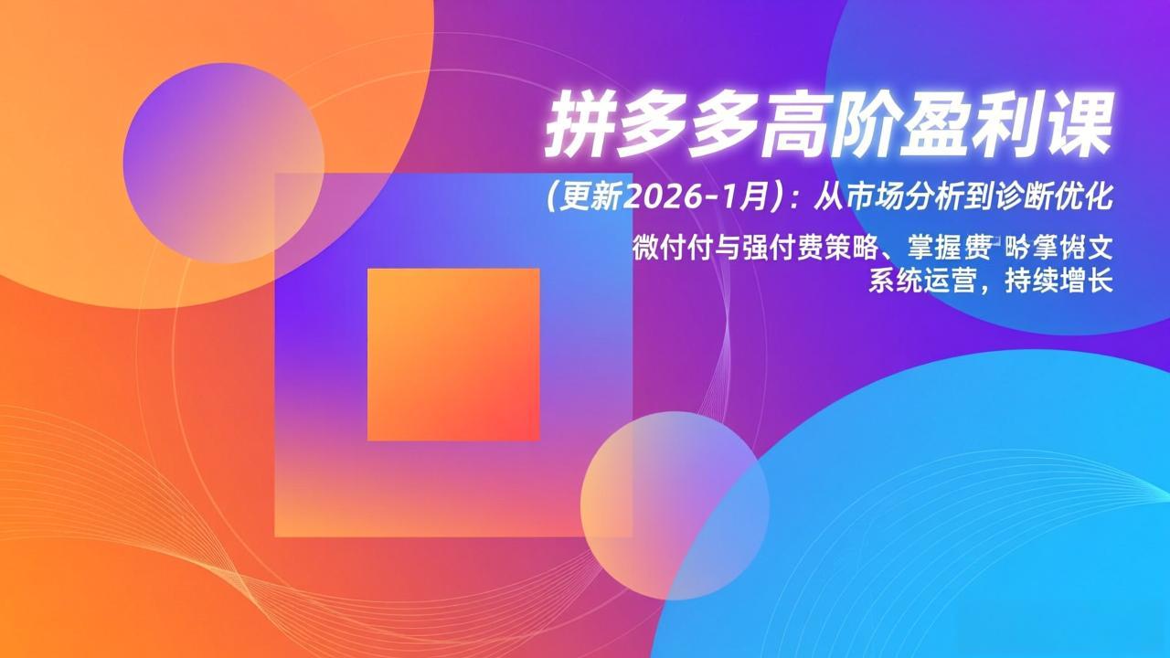 拼多多高阶盈利课(更新2026-1月-星火轻创