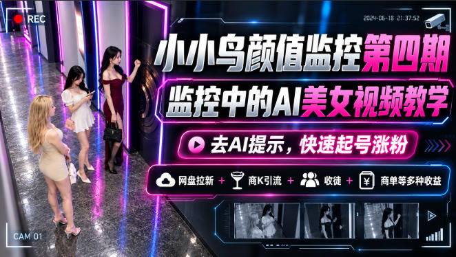 小小鸟颜值监控第四期，监控中的AI美女视频教学，去AI提示，快速起号涨粉，网盘拉新+商K引流+收徒+商单等多种收益-星火轻创