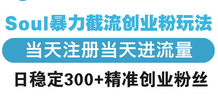 Soul暴力截流创业粉玩法，当天注册当天进流量，日稳定300+精准创业粉丝-星火轻创
