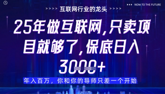 什么！25年你还在找项目做？风口早就变了，卖项目才是稳挣不赔【揭秘】-星火轻创
