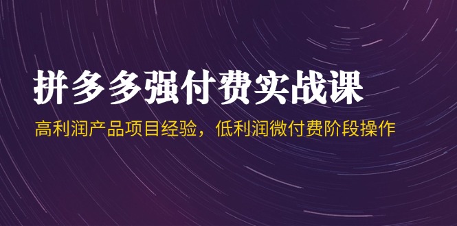 拼多多强付费实战课-44期，高利润产品项目经验，低利润微付费阶段操作-星火轻创