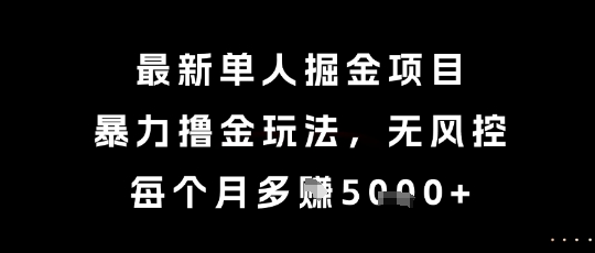 最新单人掘金项目，暴力撸金玩法，无风控，每个月多挣5k+【揭秘】-星火轻创