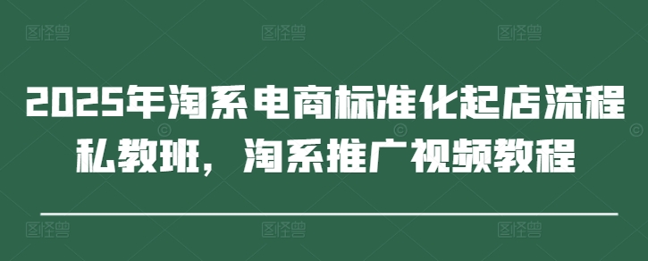 2025年淘系电商标准化起店流程私教班，淘系推广视频教程-星火轻创