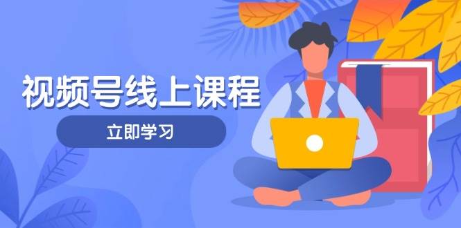 视频号实战课程,轻IP打造与运营技巧,掌握核心方法与策略-星火轻创