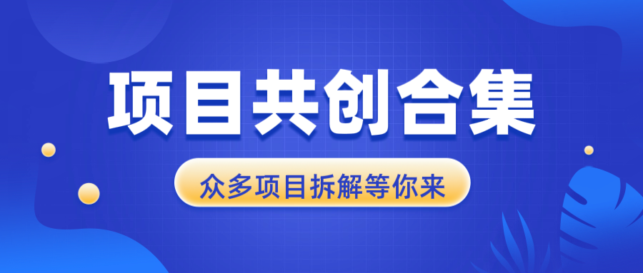 项目共创合集，从0-1全过程拆解，让你迅速找到适合自已的项目-星火轻创
