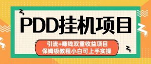 拼多多挂机项目 引流+赚钱双重收益项目(保姆级教程小白可上手实操)-星火轻创