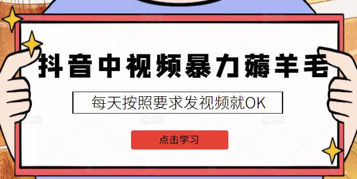 2022抖音中视频暴力薅羊毛白嫖项目：新号每天20块，老号几天几百块，可多号￼-星火轻创