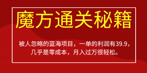 被人忽略的蓝海项目，魔方通关秘籍一单利润有39.9，几乎是零成本，月….-星火轻创