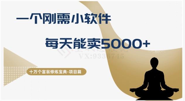 十万个富翁修炼宝典之17.一个刚需小软件，每天能卖5000+-星火轻创