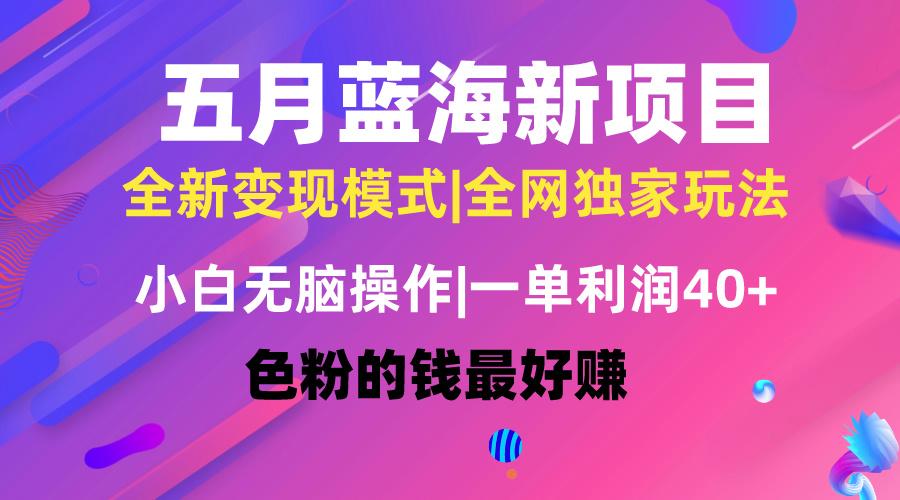 五月蓝海项目全新玩法，小白无脑操作，一天几分钟，矩阵操作，月入4万+-星火轻创