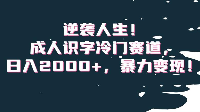 逆袭人生！成人识字冷门赛道，日入2000+，暴力变现！【揭秘】-星火轻创