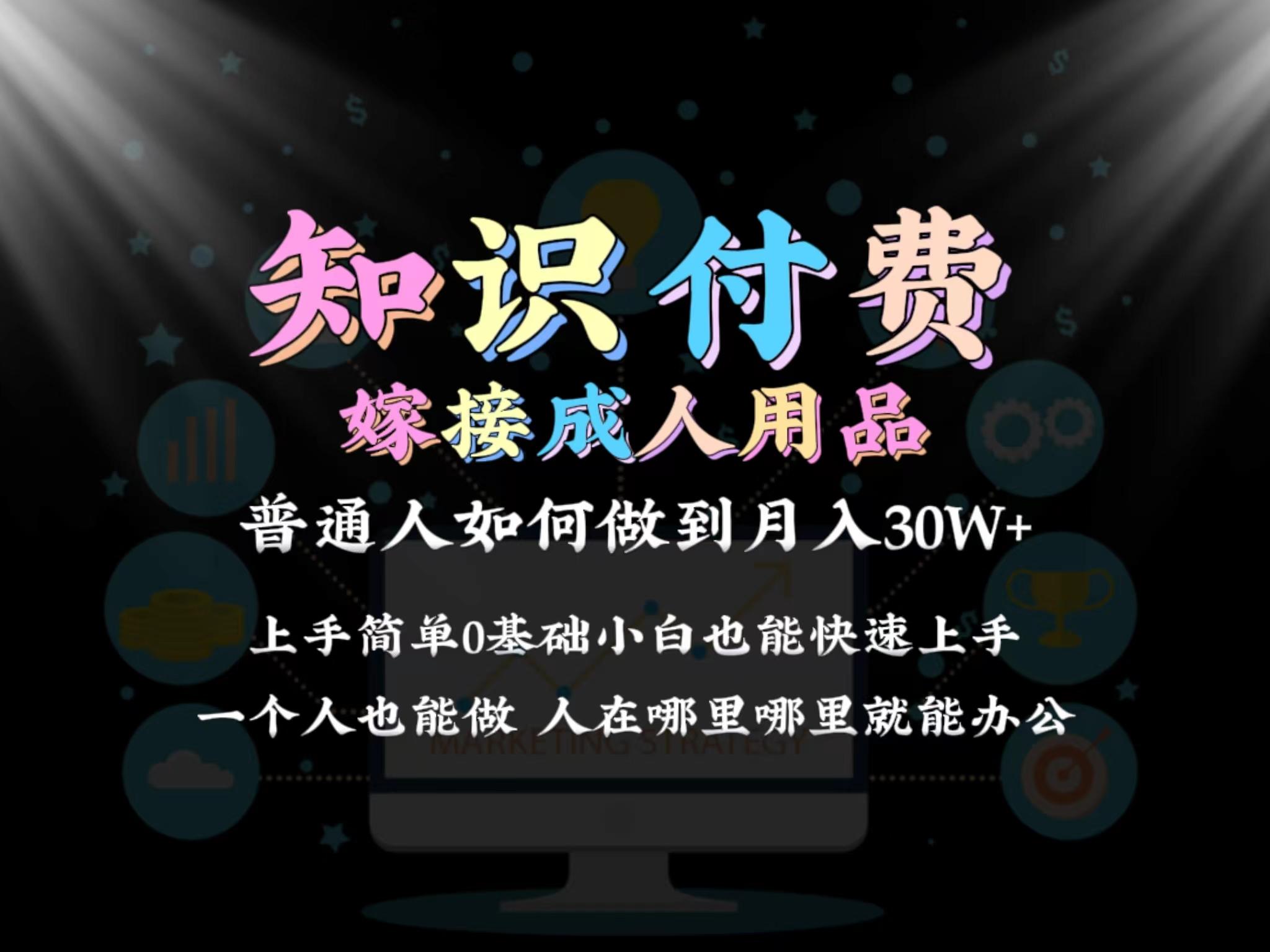 2024普通人做知识付费结合成人用品如何实现单月变现30w 保姆教学1.0-星火轻创