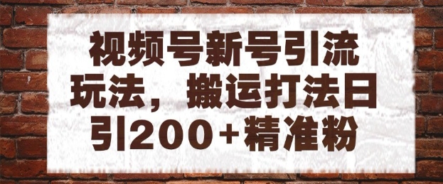 视频号新号引流玩法，搬运打法日引200+精准粉，可矩阵放大【揭秘】-星火轻创