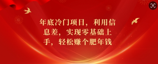 年底冷门项目，利用信息差，实现零基础上手，轻松赚个肥年钱【揭秘】-星火轻创