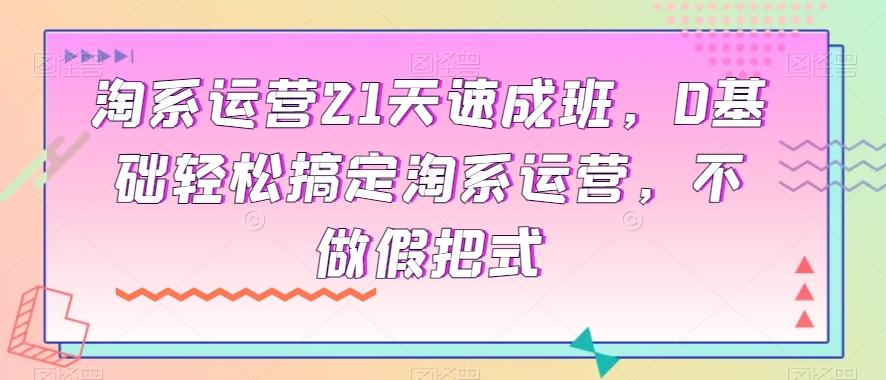 淘系运营21天速成班，0基础轻松搞定淘系运营，不做假把式-星火轻创
