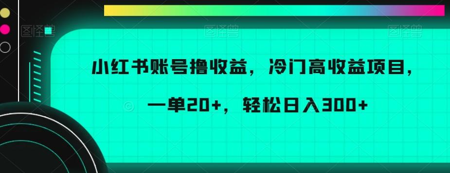 小红书账号撸收益，冷门高收益项目，一单20+，轻松日入300+【揭秘】-星火轻创