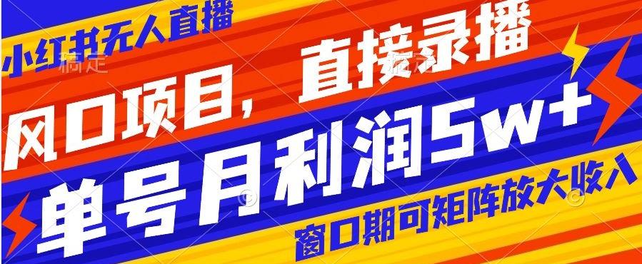 风口项目，小红书无人直播带货，直接录播，可矩阵，月入5w+【揭秘】-星火轻创