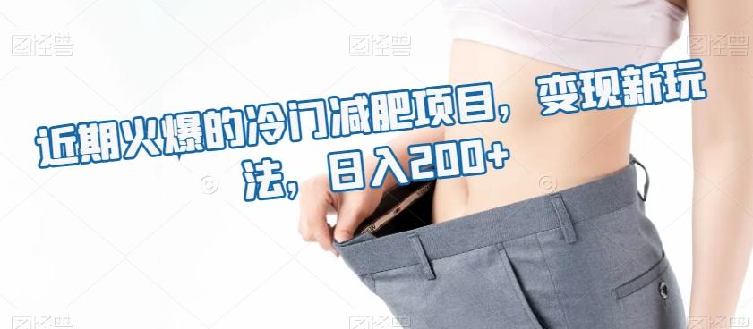 近期火爆的冷门减肥项目，变现新玩法，日入200+-星火轻创