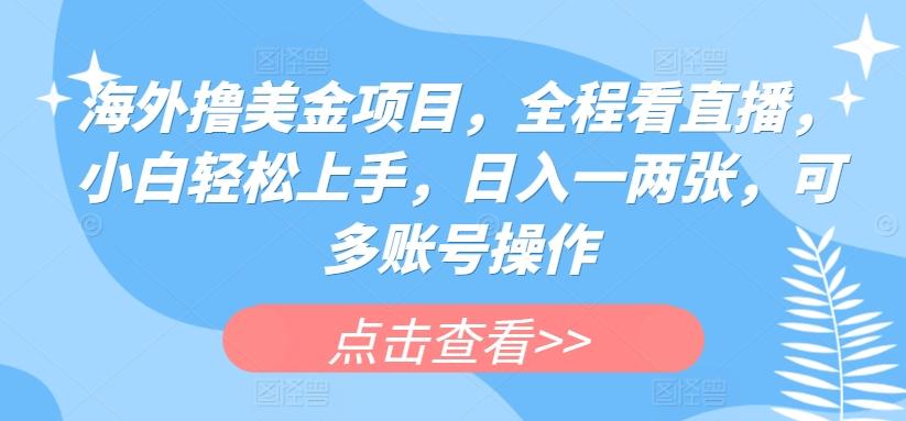 海外撸美金项目，全程看直播，小白轻松上手，日入一两张，可多账号操作【揭秘】-星火轻创