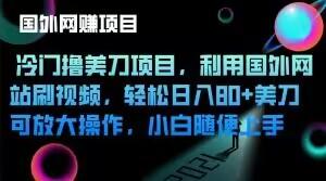冷门撸美刀项目，利用国外网站刷视频，轻松日入80+美刀，可放大操作，小白随便上手-星火轻创