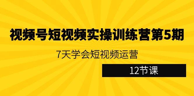 视频号短视频实操训练营第5期：7天学会短视频运营(12节课)-星火轻创
