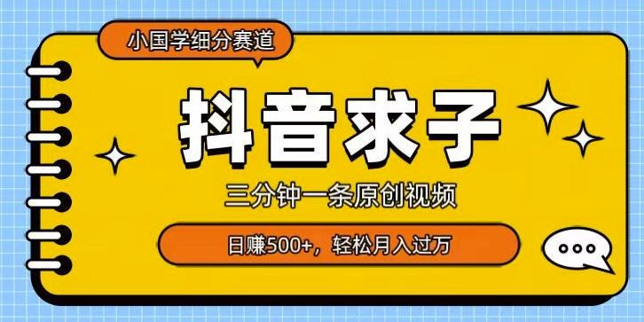小国学细分赛道，三分钟一条原创视频，日赚500+，可矩阵复制-星火轻创