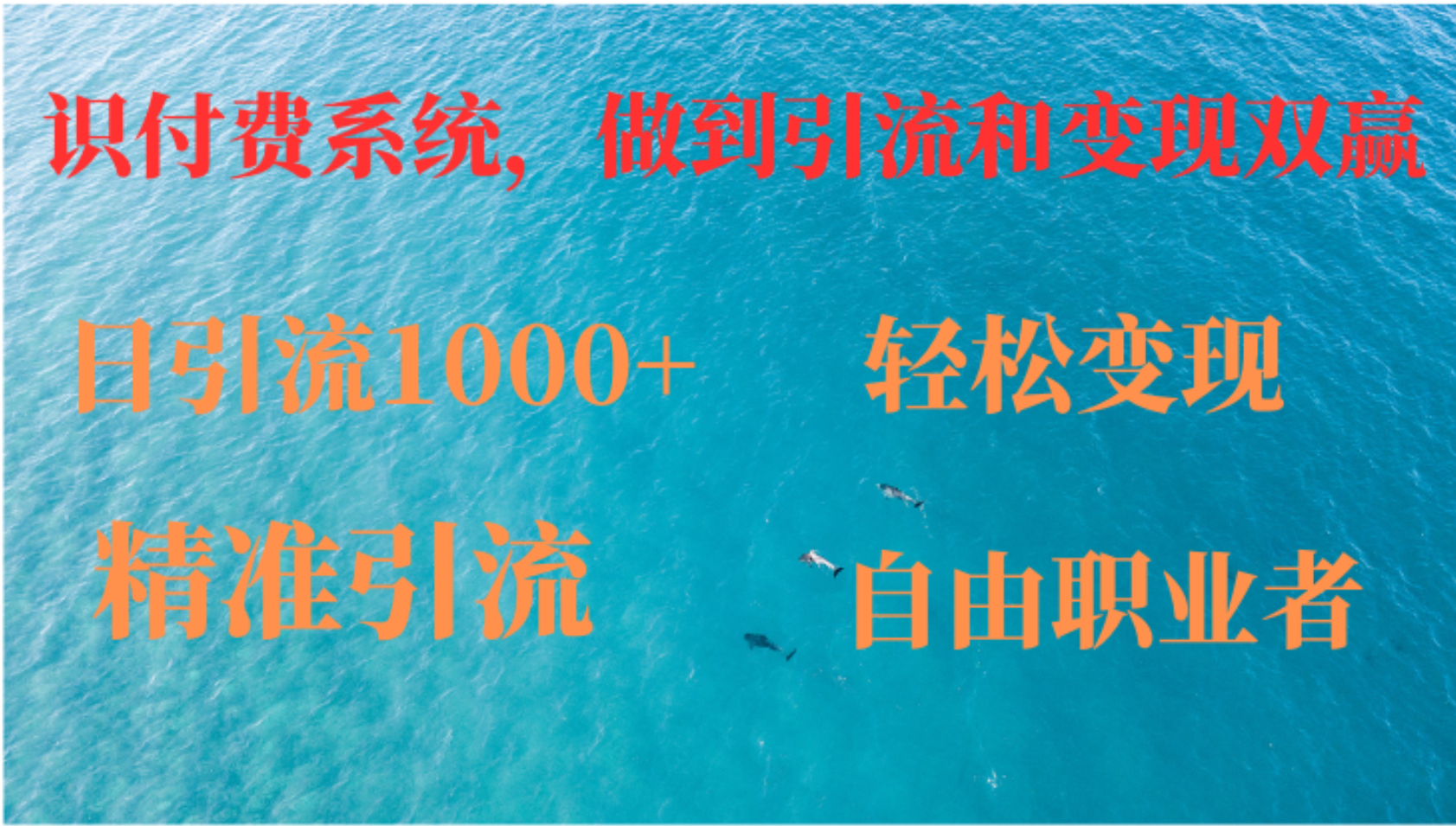如何搭建自己的知识付费系统，做到引流和变现双赢-星火轻创