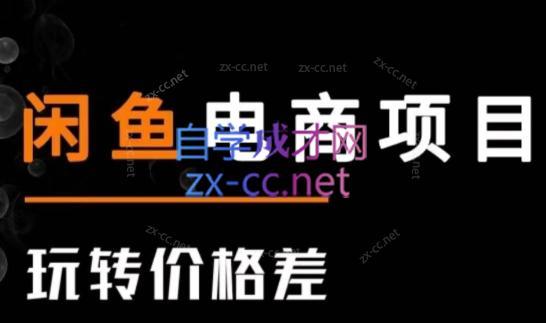 亿创繁星·闲鱼电商项目(玩转价格差)-星火轻创