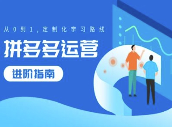 拼多多运营进阶指南，从0到1定制化学习路线-星火轻创