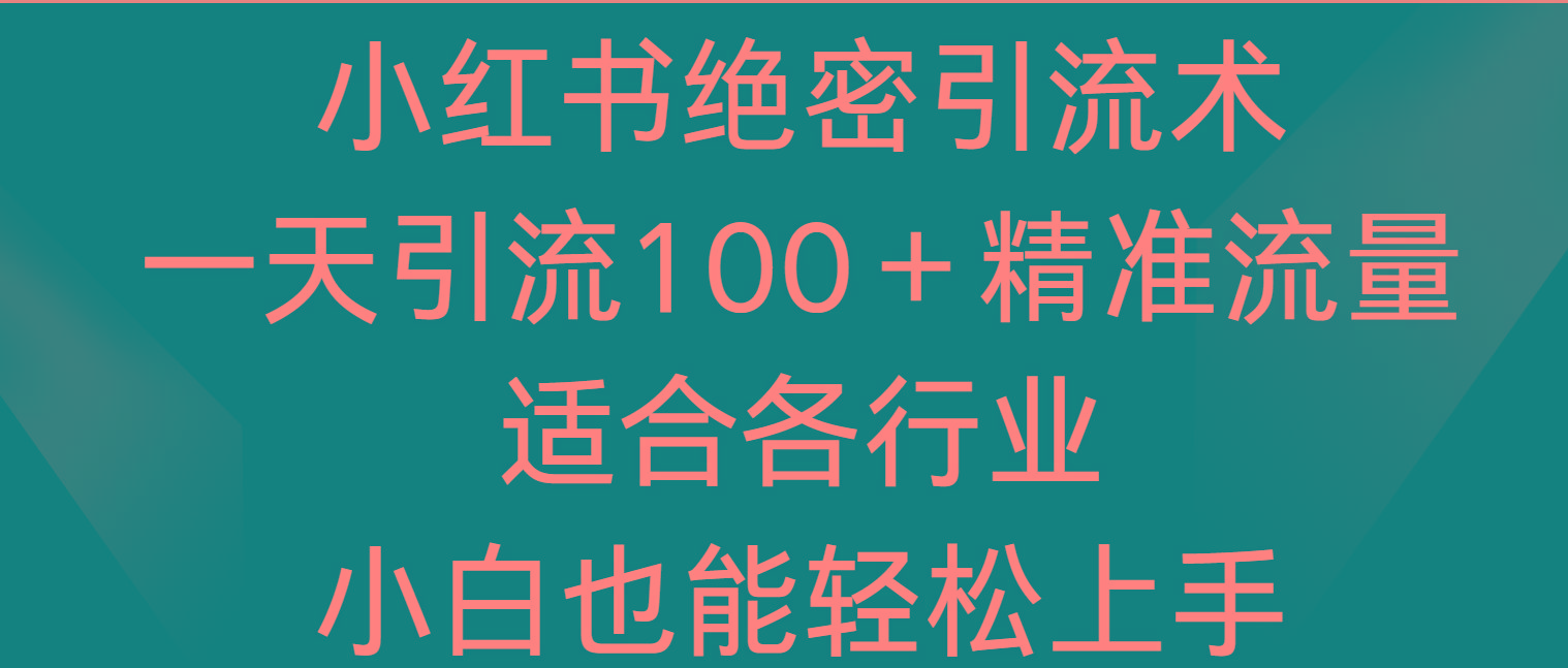 小红书绝密引流术，一天引流100＋精准流量，适合各个行业，小白也能轻松上手-星火轻创