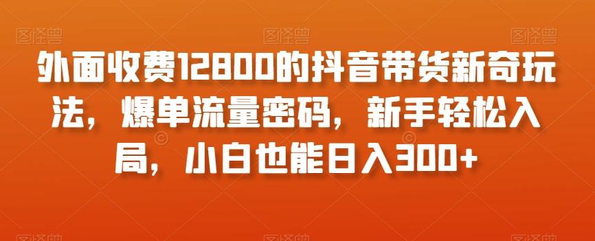 外面收费12800的抖音带货新奇玩法，爆单流量密码，新手轻松入局，小白也能日入300+【揭秘】-星火轻创