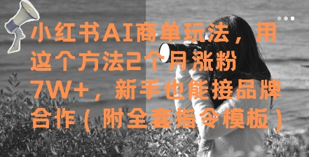 小红书AI商单玩法，用这个方法2个月涨粉7W+，新手也能接品牌合作(附全套指令模板)-星火轻创