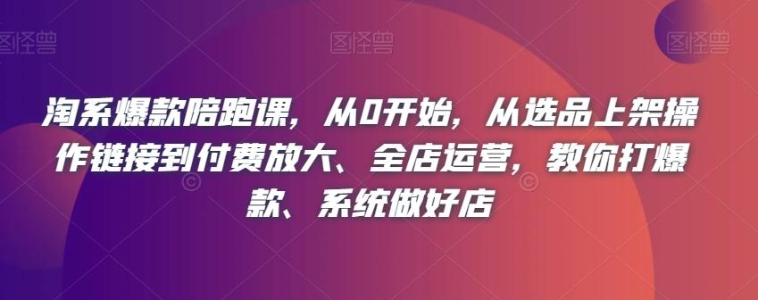 淘系爆款陪跑课，从0开始，从选品上架操作链接到付费放大、全店运营，教你打爆款、系统做好店-星火轻创