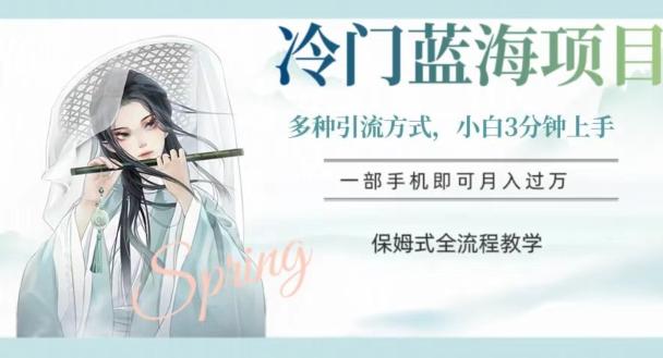 冷门蓝海项目，操作简单，小白3分钟上手，多种引流方式，保姆式全流程教学【揭秘】-星火轻创
