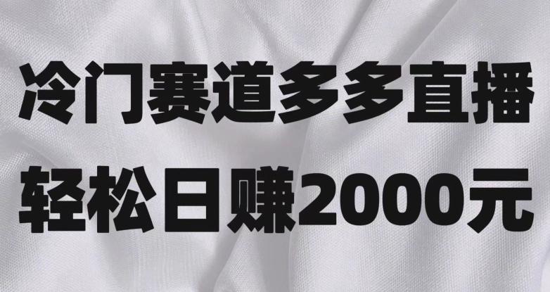 冷门赛道拼多多直播，简单念稿子，日收益2000＋【揭秘】-星火轻创