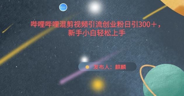 哔哩哔哩混剪视频引流创业粉日引300+，新手小白轻松上手【揭秘】-星火轻创