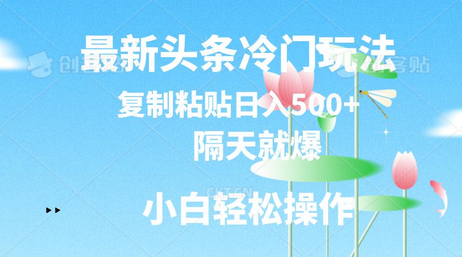 最新头条冷门玩法，隔天就爆，复制粘贴日入500+-星火轻创