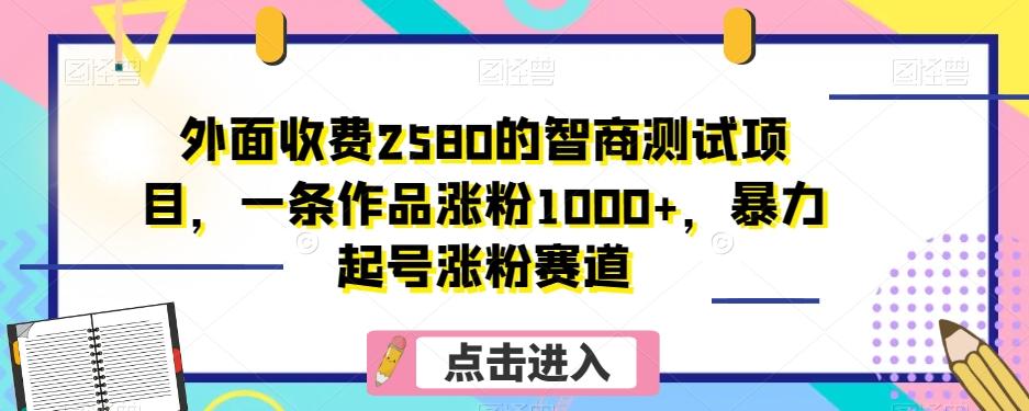 外面收费2580的智商测试项目，一条作品涨粉1000+，暴力起号涨粉赛道【揭秘】-星火轻创