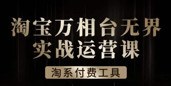 沧海·淘系万相台无界实战运营课，万相台无界实操全案例解析-星火轻创