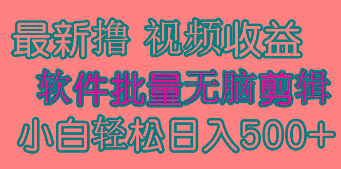 (9569期)发视频撸收益，软件无脑批量剪辑，第一天发第二天就有钱-星火轻创