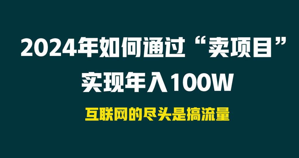 2024年如何通过“卖项目”实现年入100W-星火轻创