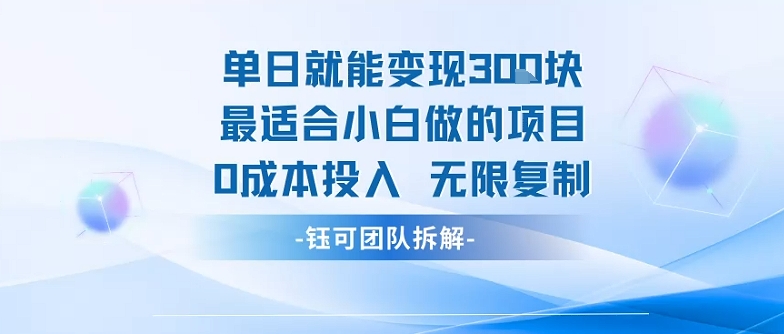 单日就能变现3张最适合小白做的项目0成本投入 无限复制-星火轻创