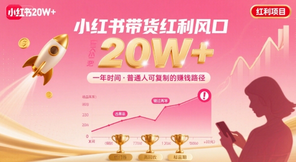 一年时间靠小红书带货项目年入20w+，最不能错的大红利项目-星火轻创