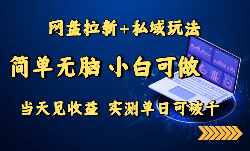 网盘拉新+私域玩法，简单无脑，小白可做，当天见收益，实测单日可破千-星火轻创