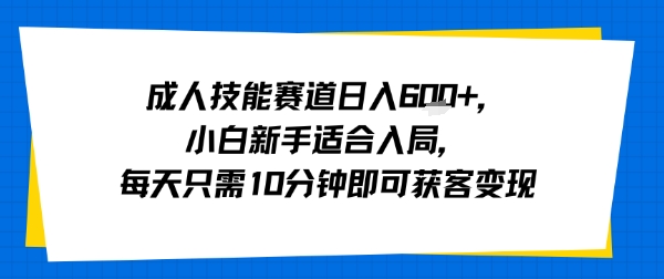 成人技能赛道日入多张，小白新手适合入局，每天只需10分钟即可获客变现-星火轻创